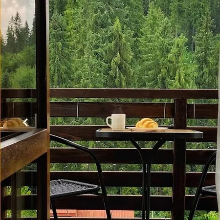біля витягу Hotel *