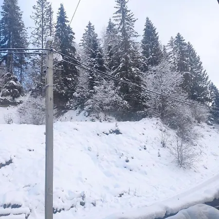 біля витягу Hotel Slavske